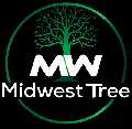 Midwest Tree