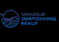 Whale Watching Maui