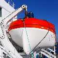 Tiny Tug Tours