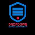 Drop Down Garage Door Repair