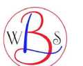 Larry Bohen Web Solutions LLC