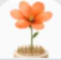 Suddenly Flowers
