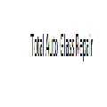 Total Auto Glass Repair