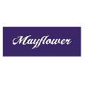 Mayflower Medical & Recreational Cannabis Dispensary - Boston