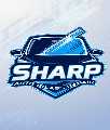 Sharp Auto Glass Repair