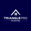 Triangle Pro Painting