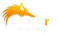 Solzorro IT Services