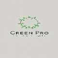 Green Pro Christmas Lights