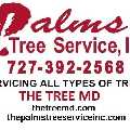 The Palms Tree Service, Inc.