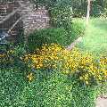 Galvan Landscape Inc.