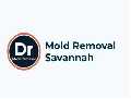 Dr mold removal savannah