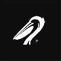 Pelican Portraits