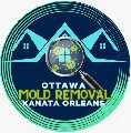 Ottawa Mold Removal-Orleans-Kanata