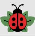 Bug & Bloom