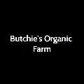 where to buy pasture raised eggs near cochecton ny