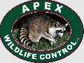 Apex Wildlife Control LLC.