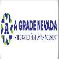 A Grade Nevada