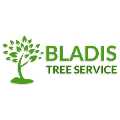 Bladi's Tree Service