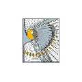 organic architecture new mexico