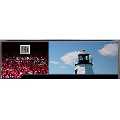 Guardianship Process Plymouth MA