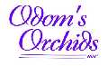Odom's Orchids Inc