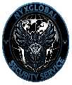 NyxGlobal Security Service - Virginia