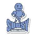 Sudsy Pressure Washing