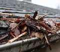 Taylorsville Gutter Cleaning