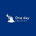 one-day niagara falls tour new york