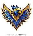 Blue Ridge Home Solutions LLC