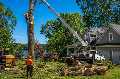 Hazardous Tree Removal Near Homes in Mooresville, NC