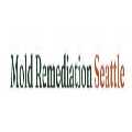 Mold Remediation Seattle WA