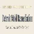 Mold Remediation Pros of Detroit MI