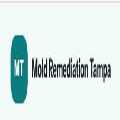 Mold Remediation Guys of Tampa Florida