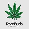 RareBuds Community