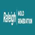 Raleigh Mold Remediation Pros