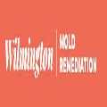 Wilmington Mold Remediation Service