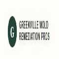 Greenville Mold Remediation Pros