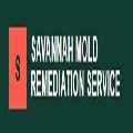 Savannah Mold Remediation Service