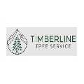 Timberline Tree Service Madera
