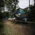 Bountiful Tree Removal