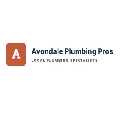 Avondale Plumbing Pros