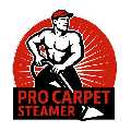 Pro Carpet Steamer