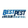 Best Pest & Wildlife Control