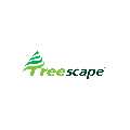 Tree Pruning Brisbane