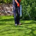 Fire Ant Control Atlanta