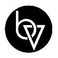 Brand Vision Marketing - Web Design & Branding