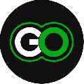 Go Hire Virtual